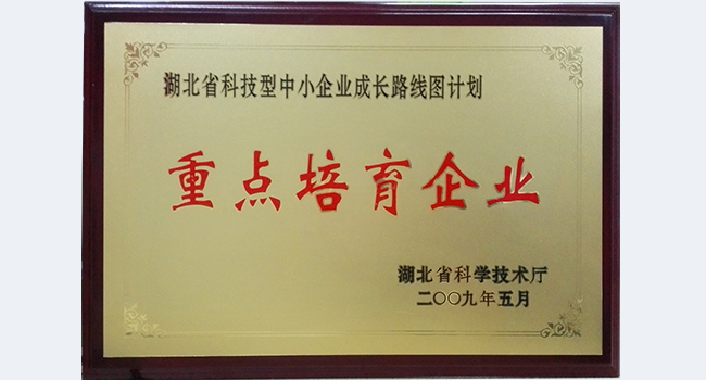 武漢源啟榮獲CMMI3證書(shū) 企業(yè)能力、項目管理水平再上新臺階